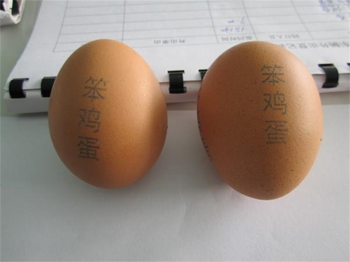 鸡蛋表面激光打标案例